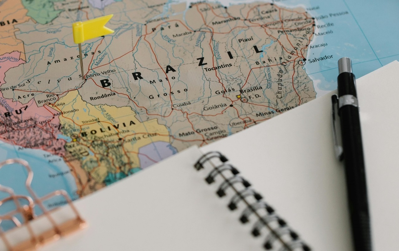 Образование и трудовые рынки стран БРИКС