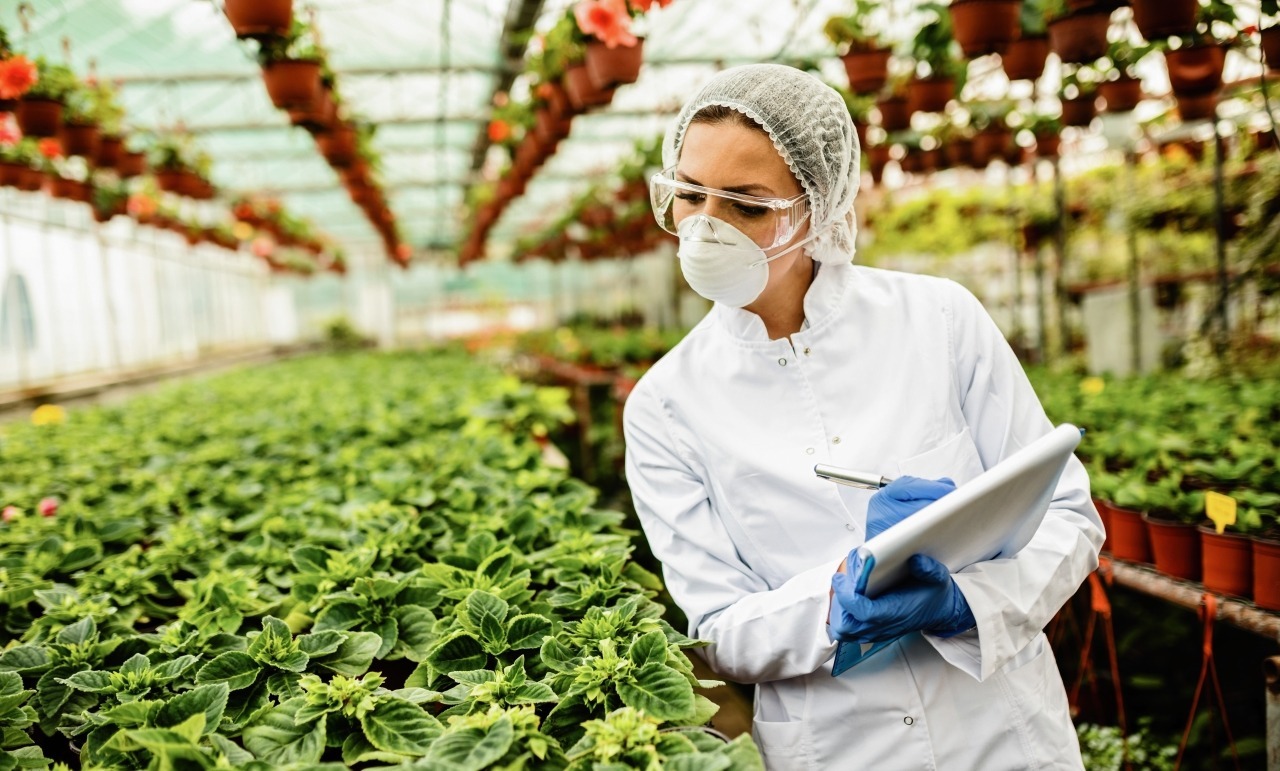 Регулирование и сертификация сельхозпродукции