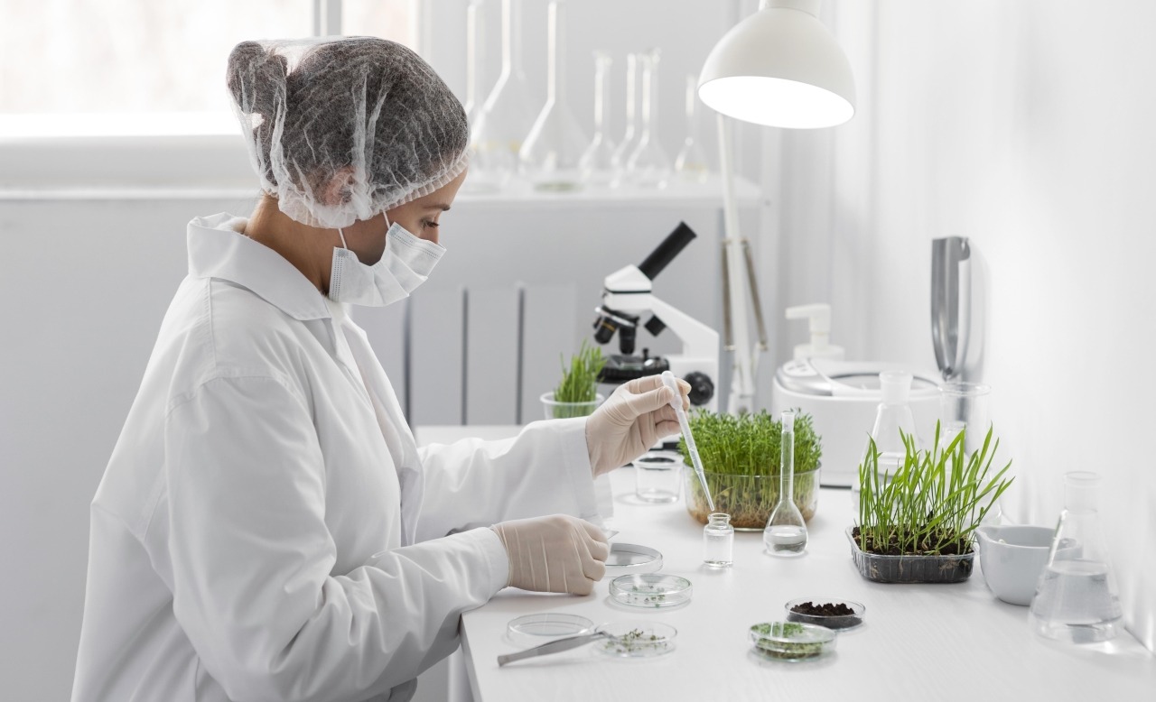 Проверка качества сельхозпродукции перед экспортом