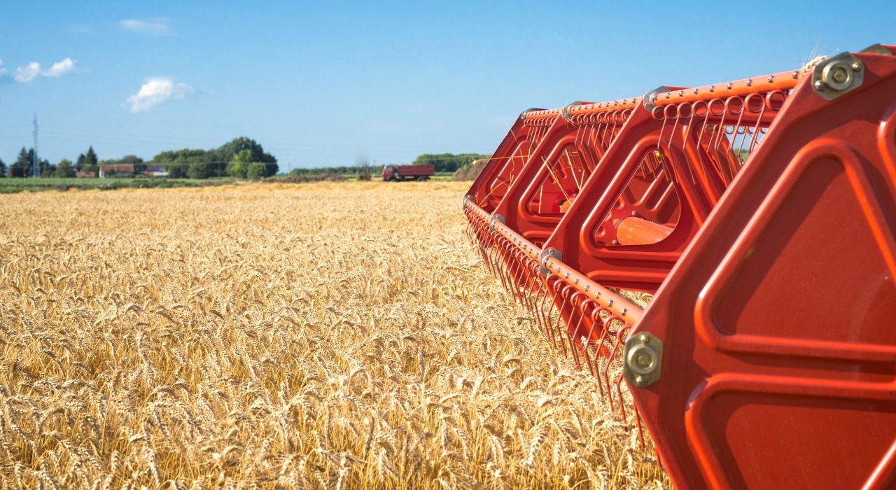 15 февраля 2026 года: новые экспортные квоты по сельхозпродукции из России