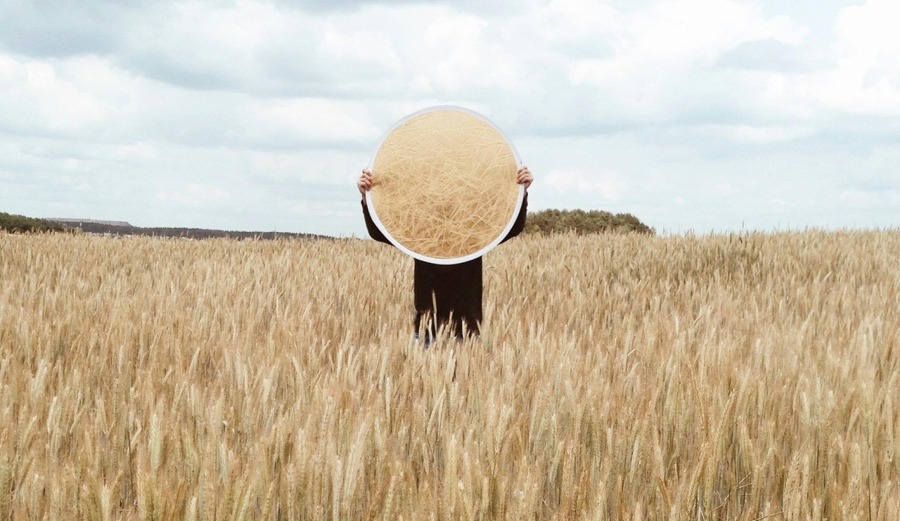 Крупнейшие закупщики пшеницы: Египет, Турция