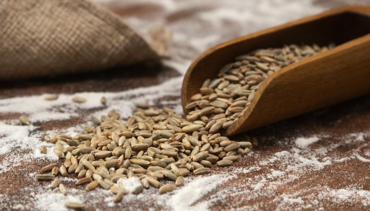 Иран как главный закупщик ячменя: 2022–2025