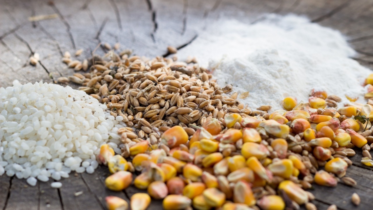 Кормовые зерновые культуры в 2025 году: виды, экспорт, импорт, цены и перспективы