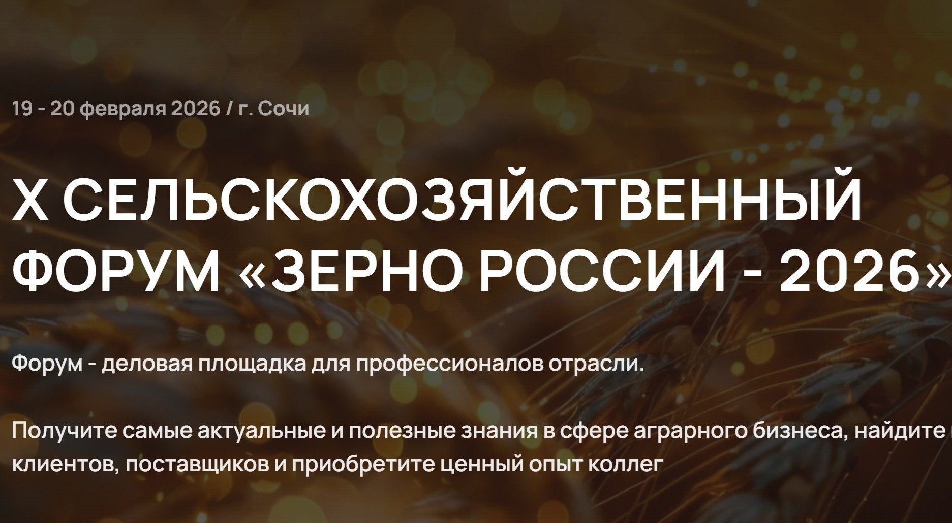 «Зерно России–2026»: точка сборки аграрного рынка