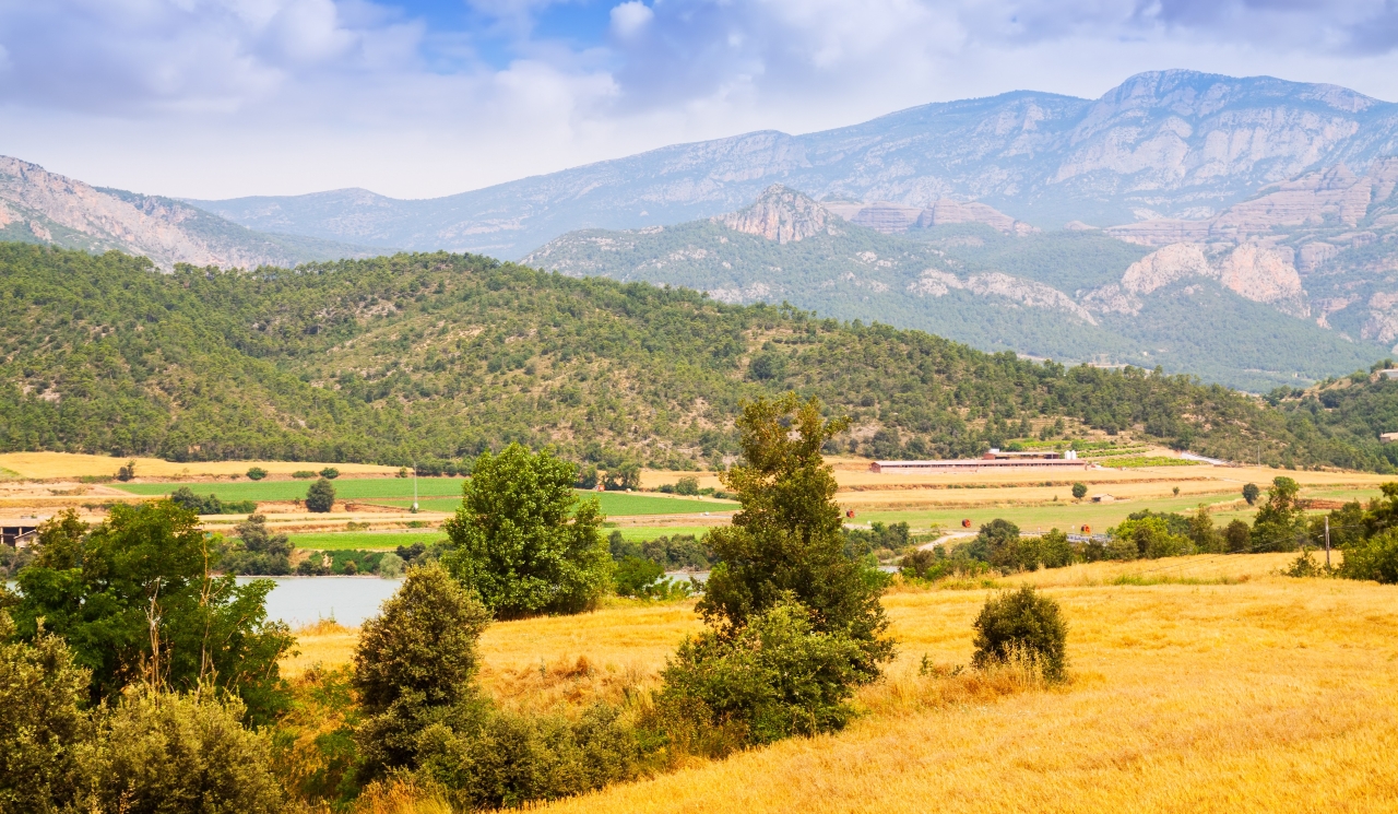 Посевная кампания в Алтайском крае